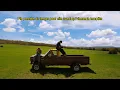 GreenWoodz - 25 ans plus tard // Visualizer officiel