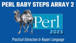 Perl Programming Baby Steps - Accessing Array Elements in Perl 2023