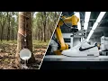 How Nike Shoes Are Made From Rubber Trees to Store Shelves