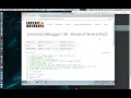 Immunity Debugger 1 85 - Denial of Service PoC