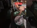 Download Lagu 45 days 1kg na Day 17 palang #45days #shorts #shortvideo #short #poultrybusiness #broiler