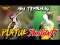 Lagu MASTERAN FUL ADU TEMBAK JENGGOT VS PLATUK BAWAN SUPER PANAS