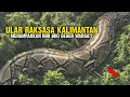 Lagu Kemunculan Ular Raksasa Tangkalaluk Bakal Bikin Geger Warga Kalimantan, Jika Benar❗