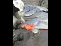 Download Lagu Why Scientist Collect Volcano Lava |😲😲| #shorts
