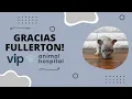 VIP Animal Hospital Gracias Fullerton