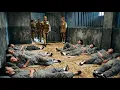 Download Lagu 勞工假裝睡覺，趁日軍不注意逃出牢獄 ⚔️ 抗日 | 戰爭 | Kung Fu | 歡迎訂閱