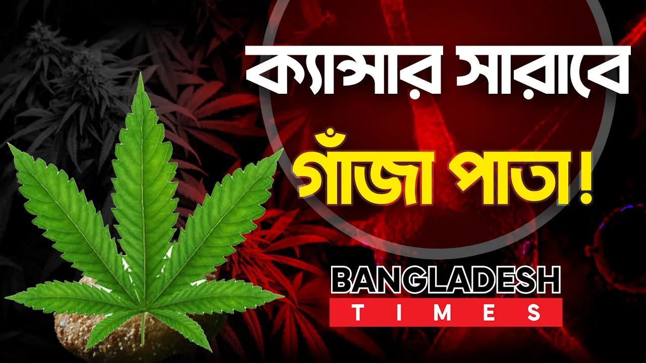 ক্যান্সার জয়ের চাবিকাঠি যে পাতা!