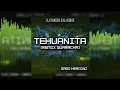 TEHUANITA - Dj Shaggy & Dj Kokis (Gabo Herconz)  - GUARACHA - ALETEO - ZAPATEO MUSICA DE ANTRO 2023