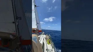 Sounds of the Sea … 450 nm into our Pacific crossing 🌊