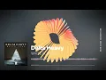 Delta Heavy - White Flag VIP