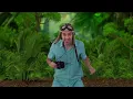 “Escape From Tiger Island!” (Jungle Adventure) 🐅🌴 Floor is Lava Game | Danny Go! Songs for Kids