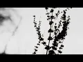 BUNT., Damzz - From Your Eyes