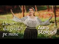 Lagu Aura Stoican - De-ar sta grijile pe mine