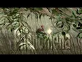 Download Lagu Fenomena