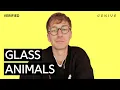 Download Lagu Glass Animals “Heat Wave
