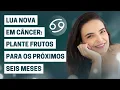Download Lagu Lua Nova em Câncer: plante frutos para os próximos seis meses
