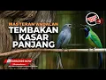 🔴 Live Masteran Tembakan Panjang Maksimalkan Emosi Burung Juara