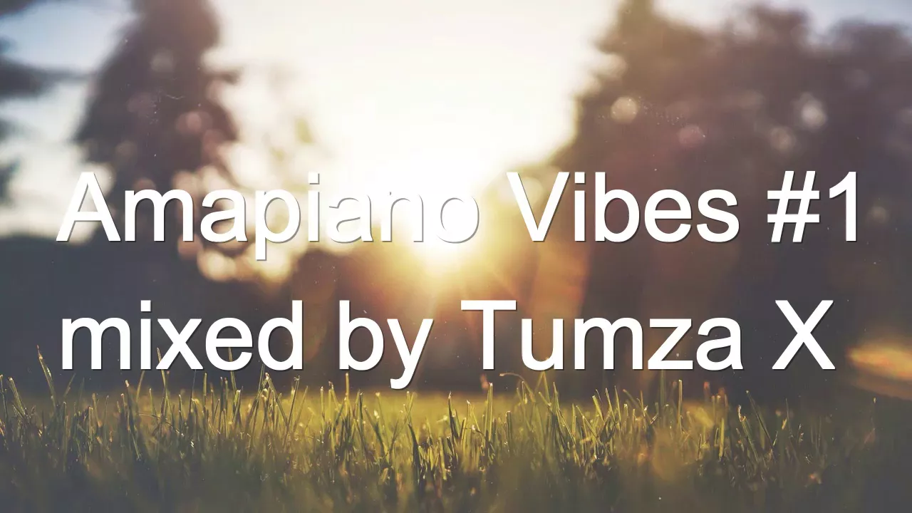 Amapiano Vibes #1