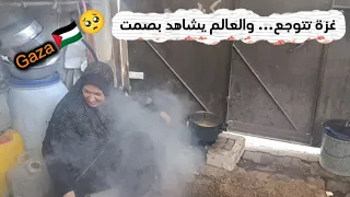 غزة لا تحتاج إلى الشفقة  بل إلى أن يرى العالم وجعها كما هو                  اكسبلور  دندنها
