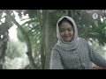 Download Lagu Bain Papuq Dijah - Pagah (Official Video Clip)