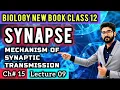 Synapse and Mechanism of Synaptic Transmission Class 12 Synaptic Knob and Vesicles New Book