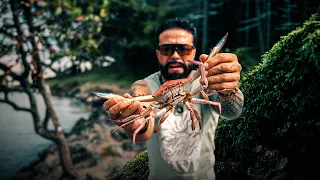 Capturando Siri Lagosta e Cozinhando na ilha