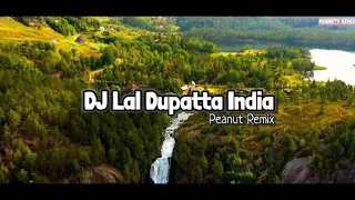 Download DJ LAL DUPATTA REMIX INDIA TIKTOK FULL BASS TERBARU | Lal dupatta ud Gayaa Tera DJ NS/MD song MP3