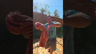 Aprenda a forma certa de tirar o seu lençol do varal!!