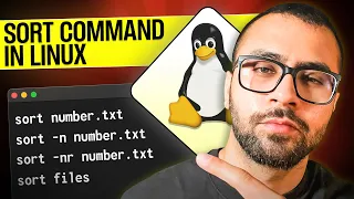 Mastering the Sort Command in Linux A Comprehensive Guide