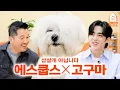 Lagu 강형욱도 훈련 실패한 세븐틴 에스쿱스네 강아지 고구마 a.k.a꾸마 [강형욱의개스트쇼] EP.12