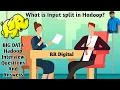 How Hadoop splits the data files Input Split In Hadoop Hadoop Interview Questions and Answers