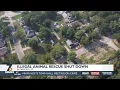 Illegal Animal Rescue shut down in Parsons Ks
