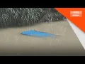 Download Lagu Polis cari pasangan suami isteri 'lari' selepas kereta terjunam dalam sungai