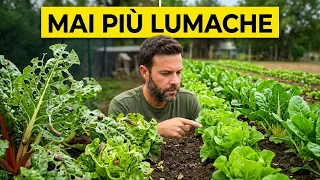 Il TRUCCO per non vedere MAI PIÙ lumache nell’orto