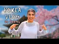 Download Lagu [Ayatee] #01 Living the K-Celebrity Life in Seoul, Korea