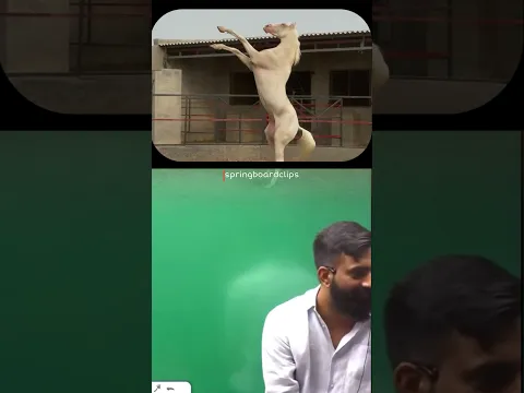 राजस्थान में घोड़े को लीला बोलते थे 😨🎠 #rajveersir #rajasthan #explorer #trendingshorts #viral