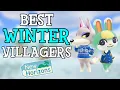 The Best Winter Villagers in Animal Crossing New Horizons - ACNH Winter Villager Aesthetic
