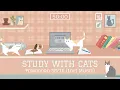 Study with Cats Pomodoro timer Soft lofi Cat animation for a stress-free study session