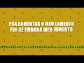 Lagu Mamonas Assassinas - Jumento Celestino (Lyric Video)