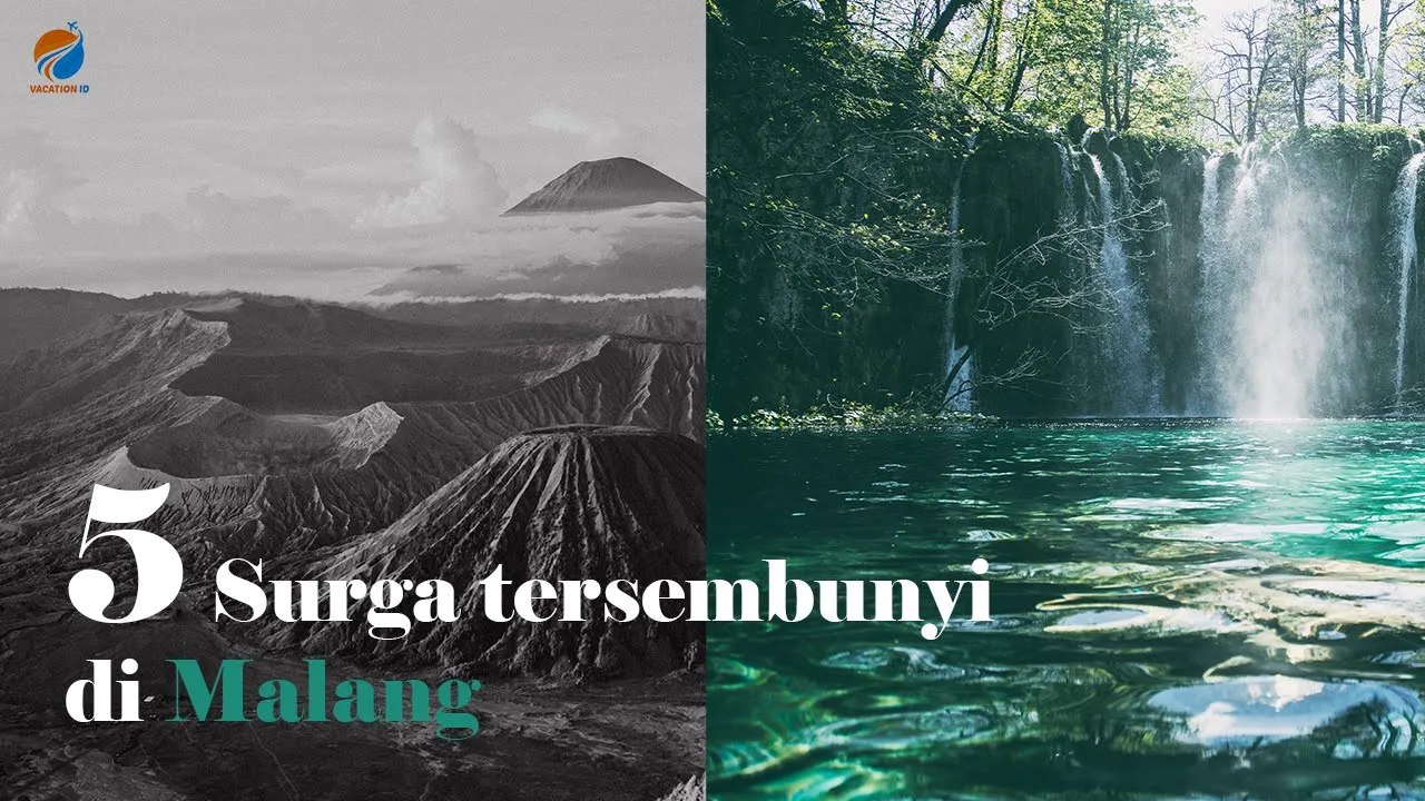 WISATA GRATIS BUKIT JENGKOANG DI KOTA BATU MALANG // KEINDAHAN WISATA ALAM NEW NORMAL // HARI#1 #2