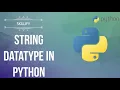 Python Zero to Hero Day Datatype in Python Datatypes