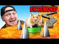 100 000 Hamster Maze Race Can They EXIT - EXTENDED