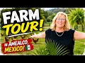 Is This Amealco Mexico Eco Farm the Perfect Retirement Spot