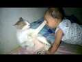 Download Lagu Arllea di cakar kucing