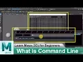 What is Command Line in Maya Learn Maya 3D Animation for Beginners Tutorials