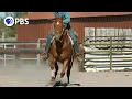 Why The Quarter Horse is Built For Speed