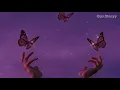 [Vietsub+Lyrics] Verbatim - Mother Mother