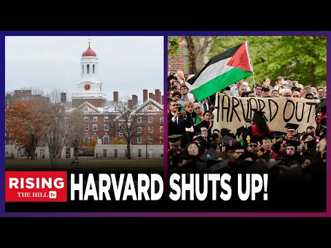 Download MP3 FINALLY: Harvard Promises To STOP Making Political Statements