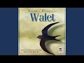 Download Lagu Suara Burung Walet (Kicau Mengundang Burung Walet)