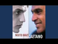 Download Lagu Enquanto Seu Lobo Não Vem
